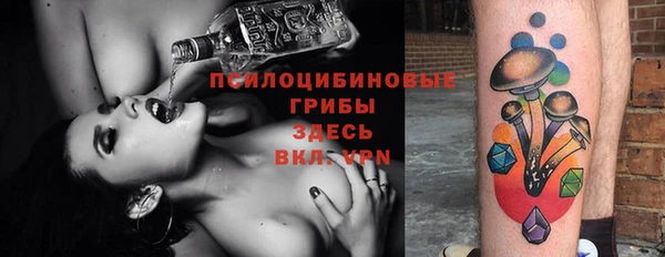 дурь Алзамай