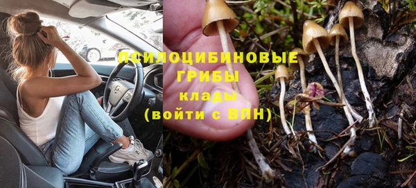 дурь Алзамай