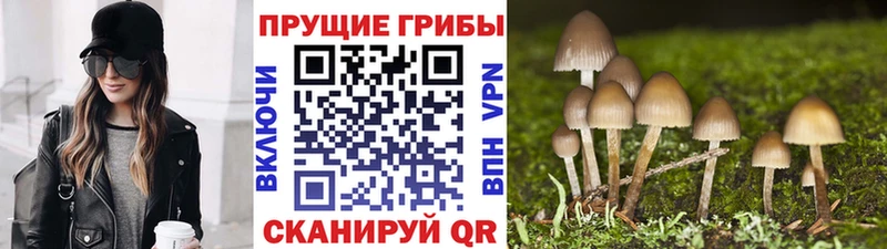 Галлюциногенные грибы прущие грибы  hydra зеркало  Ливны 